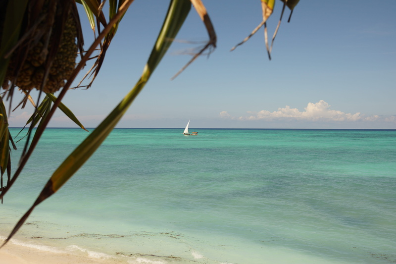 sailboat, sea, nature, no people, outdoors, yacht, sky, 5K, idyllic, day, horizon, transportation, tranquil scene, beauty in nature, zanzibar, water, tanzania