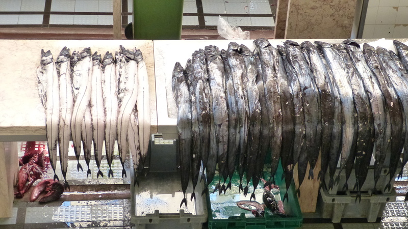 vertebrate, business, freshness, for sale, food, seafood, 4K, madeira, animal, sale, fish, fishing, occupation, fishing industry, scabbard fish, large group of objects