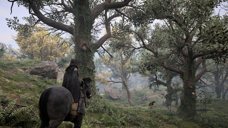 valhalla, 4K, Ubisoft, viking, Assassins Creed, Eivor