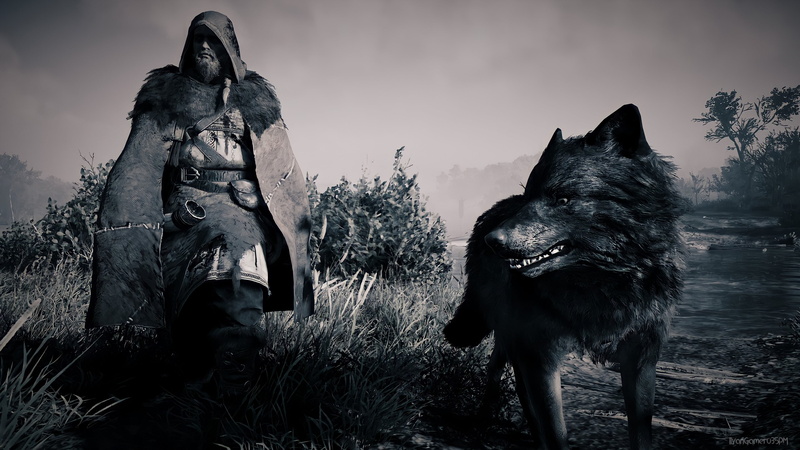 Assassins Creed: Valhalla, Eivor, wolf, screen shot, 4K, Assassins Creed, protagonist