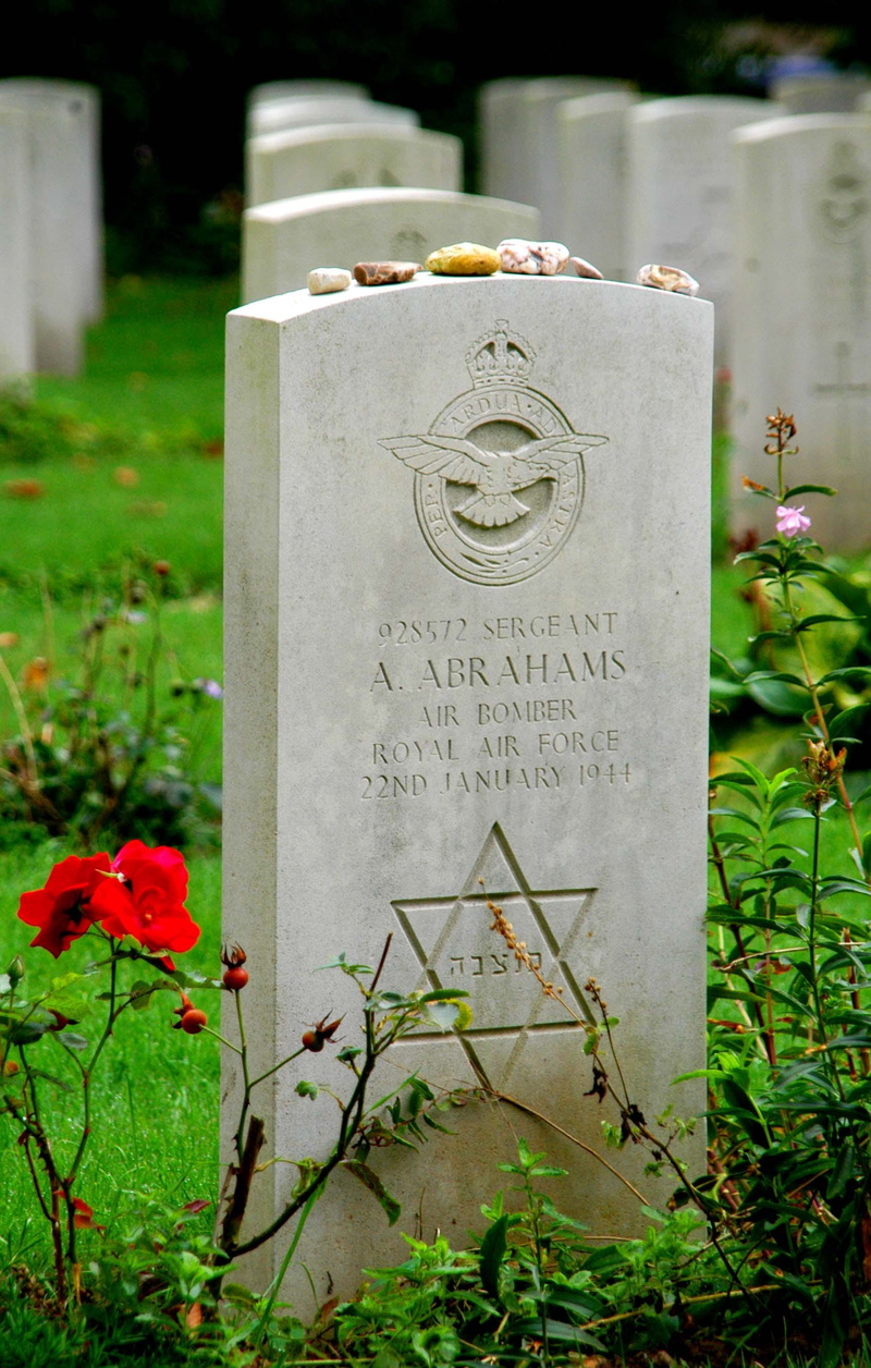history, day, ww 2, grave, flower, plant, flowering plant, nature, outdoors, western script, cemetery, the past, communication, message, text, no people