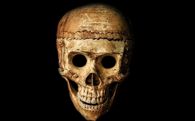 horror, skeleton, human body part, studio shot, 1080P, indoors, spooky, black background, close-up, ancient civilization, old, still life, celebration