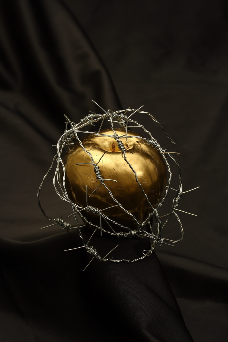 freshness, dark, close-up, metal, gold, creativity, table, healthy eating, barbed wire, dea, photography, photo, human body part, body part, background