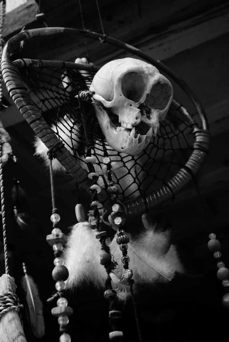 evil skull, no people, softness, indoors, human skeleton, dark, day, creativity, horror, spooky, cranium, focus on foreground, gothic, close-up, grunge