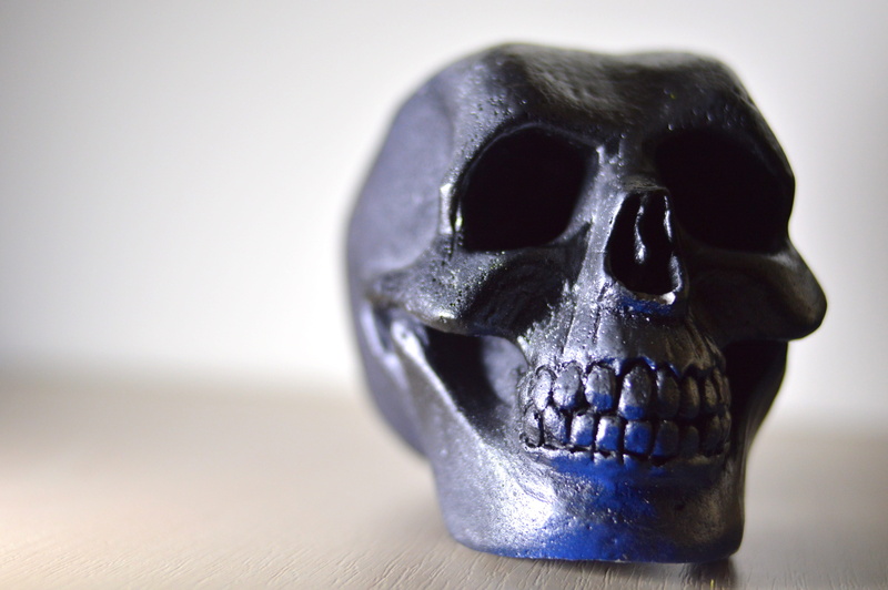 focus on foreground, human skeleton, spooky, close-up, studio shot, human skull, still life, people, anatomy, human body part, head, human representation