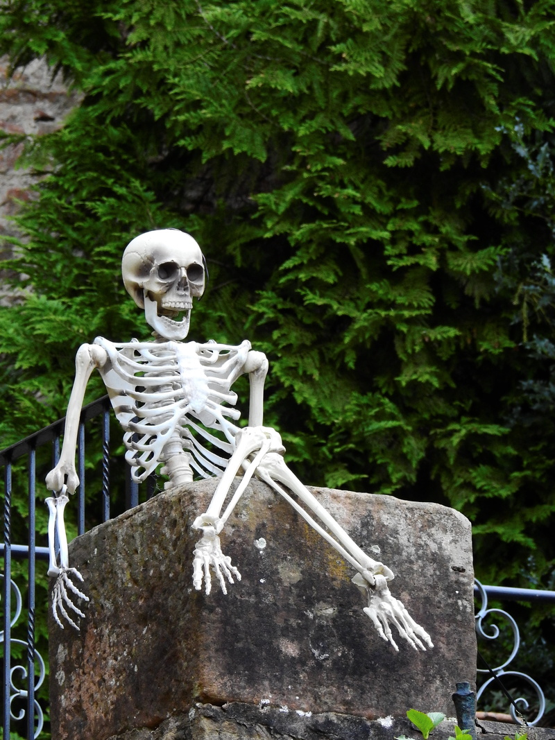 day, bizarre, outdoors, art, shudder, human representation, helloween, bone, plant, human bone, death, statue, nature, the past, human skeleton, human skull