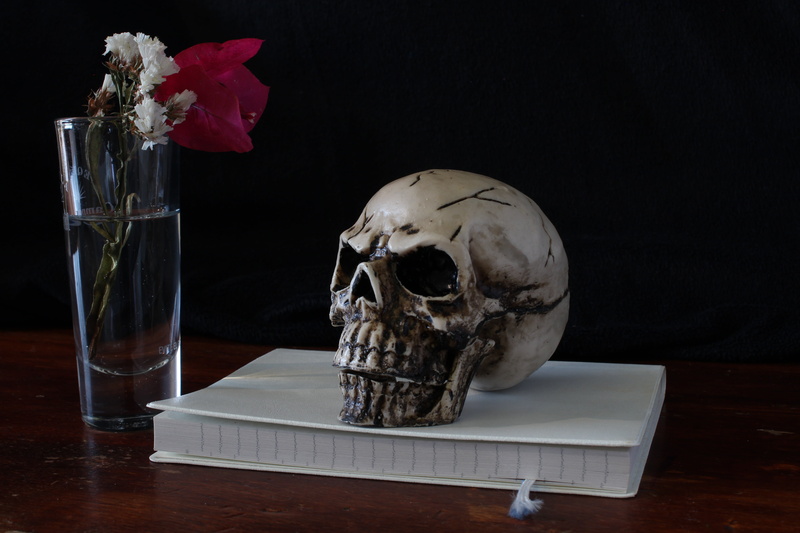 spooky, death, human body part, figurine, 5K, human skeleton, horror, studio shot, human skull, plant, halloween, night, top, composition, vase, skeleton