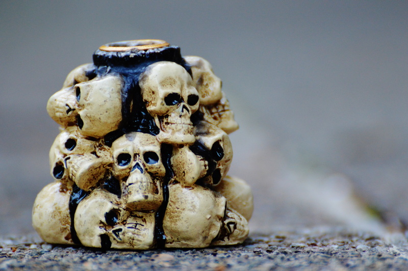 selective focus, bone, focus on foreground, outdoors, frightening, nature, land, day, horror, 4K, death, skull bone, no people, crab, small, fear, still life