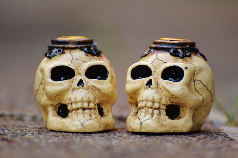 still life, no people, indoors, table, weird, bone, fear, halloween, art and craft, skull, death, creepy, frightening, skeleton, skull and crossbones, skull bone
