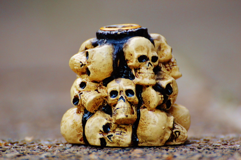 weird, skeleton, skull, halloween, animals in the wild, skulls, human anatomy, human representation, head, skull bone, horror, concrete, death, figurine