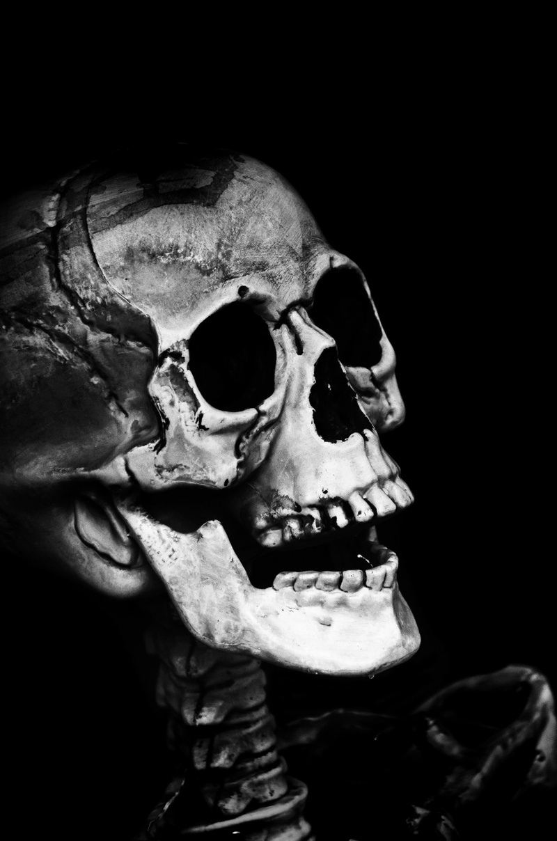 dummy, skeleton, human bone, dark, holidays, human skeleton, dead Person, fear, human body part, 1080P, skull, human Skull, portrait, black Background