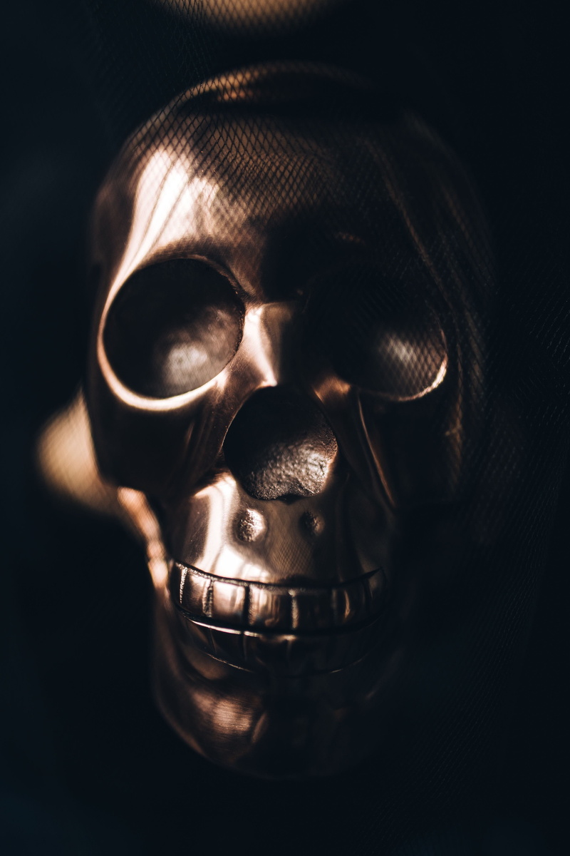 human bone, sign, indoors, autumn, black background, decorations, warning sign, 4K, Halloween, close-up, one man only, mystery, studio shot, human skeleton