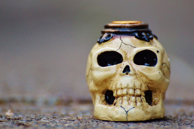 spooky, fun, aggression, 4K, close-up, skeleton, skull, death, human skull, head, skull bone, bone, skull and crossbones, creepy, horror, emotion, studio shot