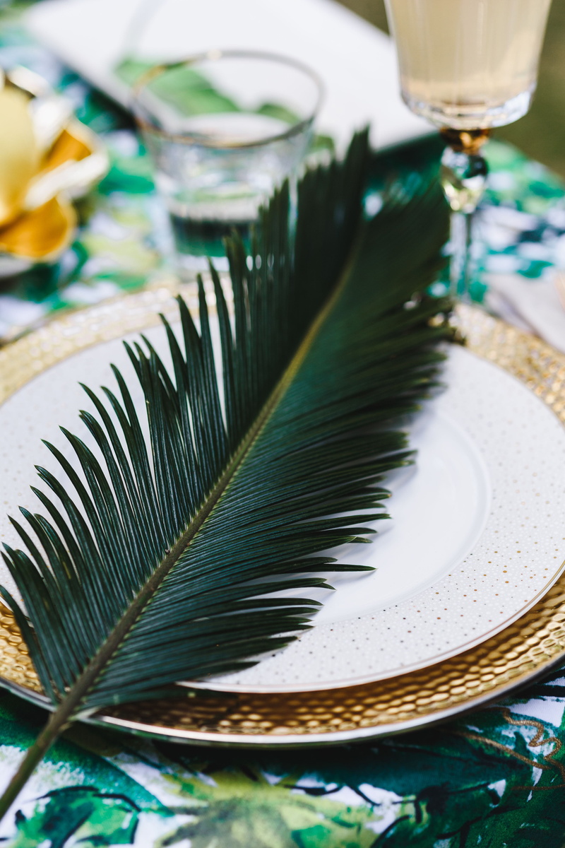 studio shot, party, Exotic, garden party, Table, still life, household equipment, table set, flowers, feather, summer, glass, indoors, nature, no people
