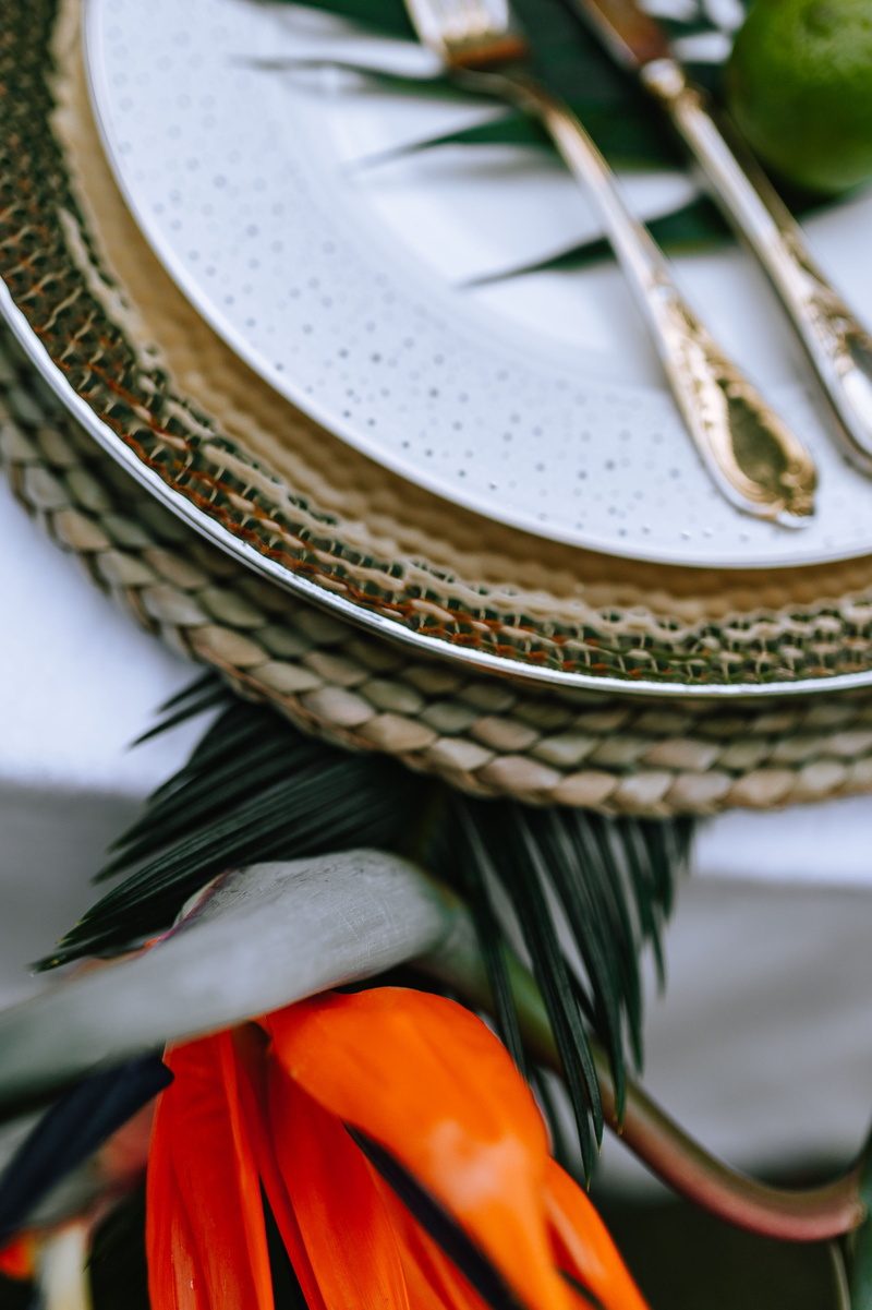 plates, summer, pattern, high angle view, still life, table set, green color, day, 4K, garden party, selective focus, party, greenery, no people, flowering plant