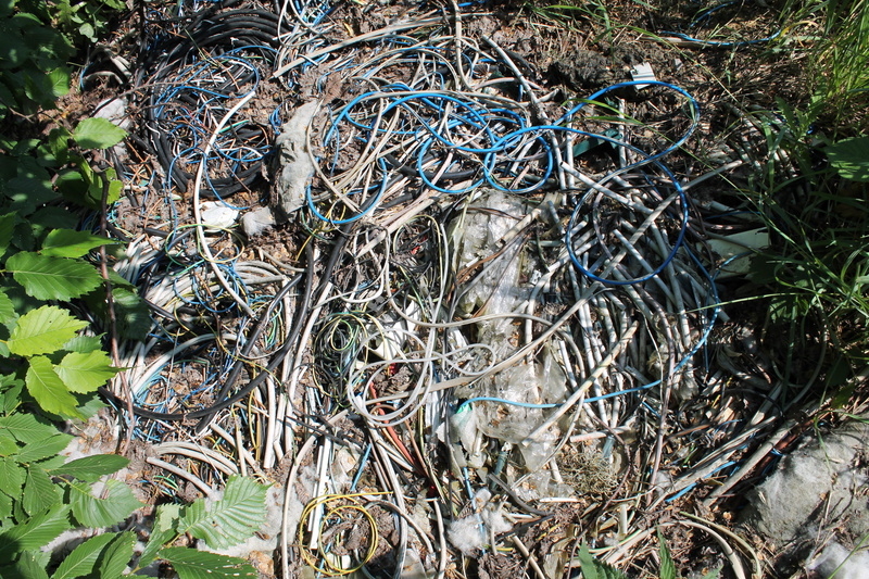 leaf, crime, plant part, dry, sunlight, cable thieves, day, messy, cable, plant, tree, high angle view, land, outdoors, tangled, no people, pollution, cannibalized