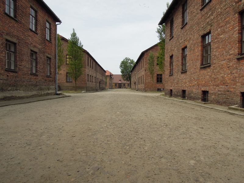 empty, residential district, Birkenau, diminishing perspective, wall, residential building, no people, polish, old, street, 2K, old building, houses, architecture