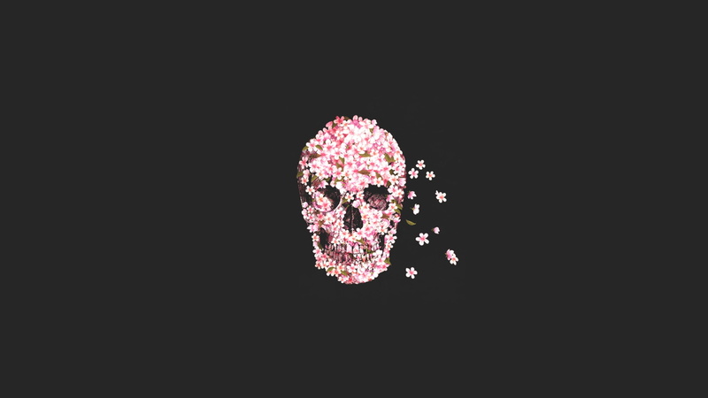 Sugar Skull, skull, 2K, rose