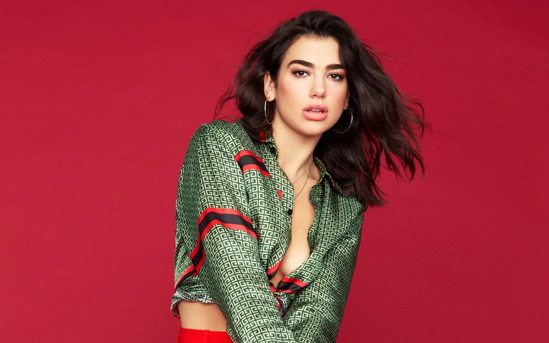 magazine, one person, brown hair, body part, elegance, looking at camera, fashion, adult, studio shot, lipa, model, dua, beautiful woman, young adult, beautiful people