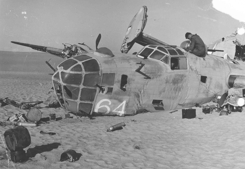 nature, plane, 720P, wreck, print, mode of transportation, horse, black, military, white, water, no people, army, aerospace industry, beach, land, military airplane