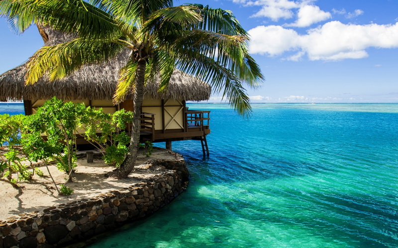 plant, horizon, no people, beach, horizon over water, palm tree, cloud - sky, turquoise colored, beauty in nature, sea, idyllic, bungalow, day, tranquil scene