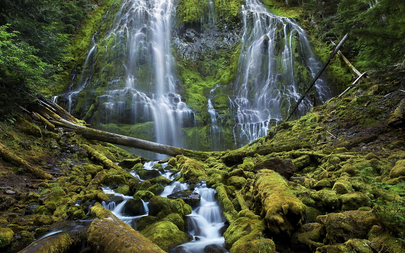 wilderness, beauty in nature, flowing water, desktop, rock, 2K, oregon, rock - object, proxy, plant, hd, lane, tree, national, moss, long exposure