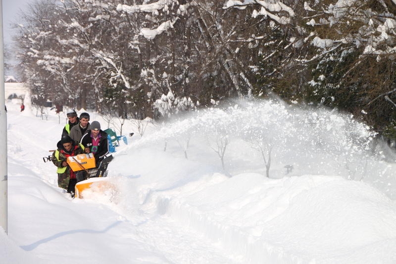 snowblower, white color, winter sport, blower, tree, cold temperature, outdoors, nature, leisure activity, snow, thrower, day, funny, editorial, vacations