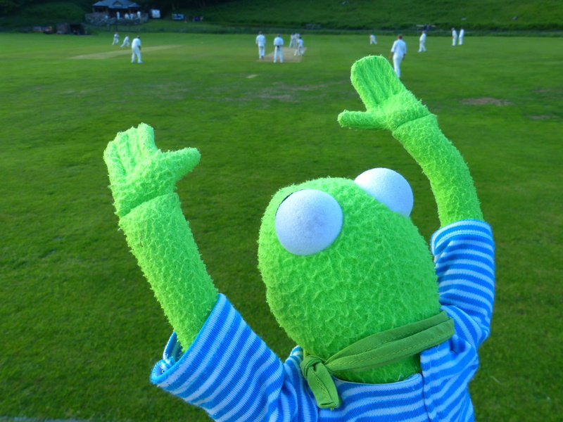 leisure activity, nature, thrower, play, body part, park - man made space, land, green color, holding, grass, sport, kermit, one person, batsman, standing
