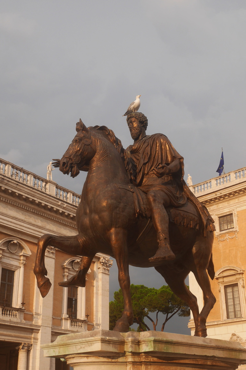 animal representation, representation, sculpture, sky, architectural column, marcus aurelius, no people, travel destinations, horse, city, animal, nature