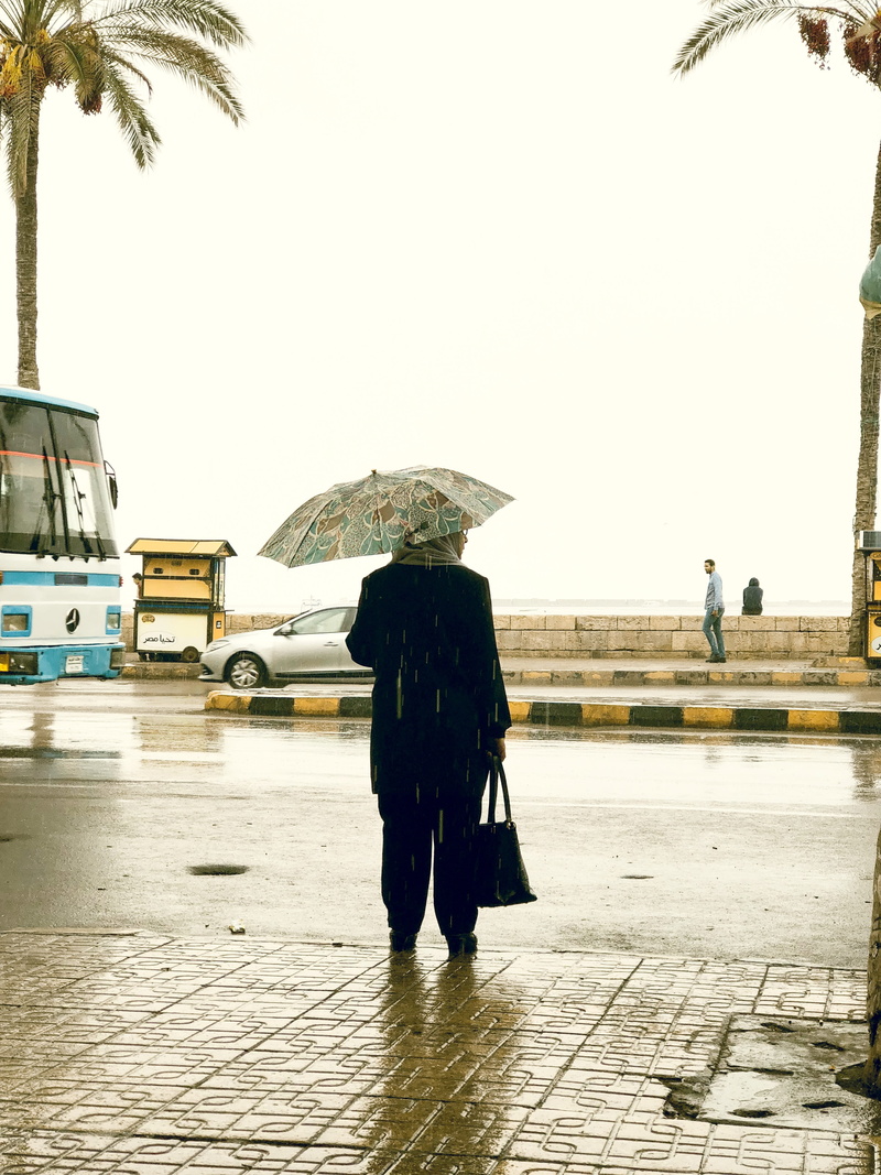 woman, walking, tree, protection, incidental people, sky, rain, day, palm tree, egypt, water, full length, outdoors, rainy season, umbrella, nature, city