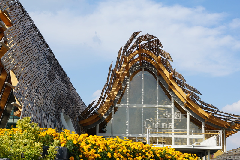 modern, nature, flower, expo, worlds fair, 5K, day, outdoors, cloud - sky, low angle view, pavillion, no people, connection, building exterior, building