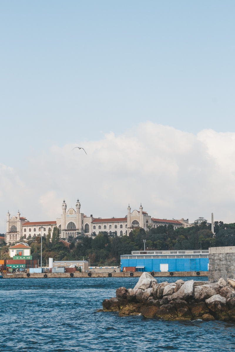 animal wildlife, 4K, no people, dockyard, dock, animal, harbor, flying, group of animals, daylight, waterfront, bay, cloud - sky, built structure, buildings