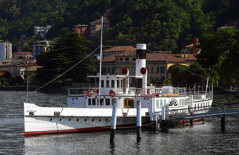 tree, waterfront, day, paddle steamers, italy, no people, transportation, lake, yacht, steamer, nature, city, historically, plant, mode of transportation