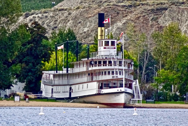 steam, tree, mode of transportation, day, transportation, outdoors, built structure, architecture, plant, steamboat, growth, paddle steamer, vintage, ship