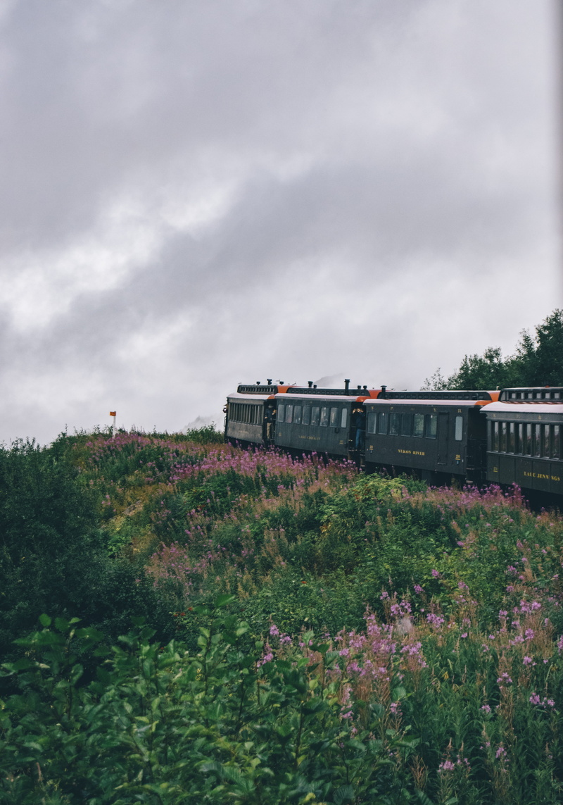 daytime, nature, light, land, locomotive, plant, motor, flare, cloud - sky, day, outdoors, steam engine, engine, railway, sky, passenger car, flowering plant