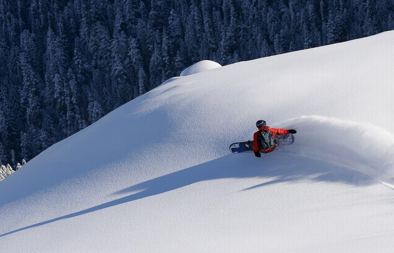sport, environment, pine, cold temperature, 720P, nature, extreme sports, person, one person, scenics - nature, winter sport, snowcapped mountain, adventure