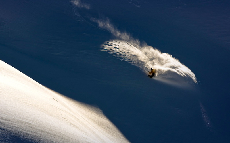 animals in the wild, one animal, outdoors, sea life, sea, animal, water, day, snow, no people, vertebrate, swimming, tabby, white, nature, marine, snowboarding