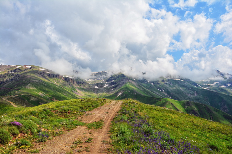 passion, nature photos, spring, idyllic, cloud - sky, taylor, imposing, non-urban scene, dd, adrenalin, snow, grasses, fog, mountain range, plant, green