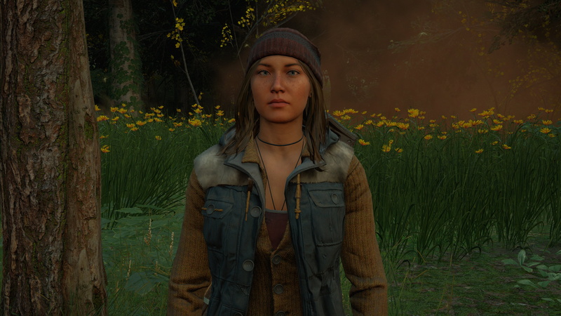 Far Cry, Far Cry New Dawn, 4K