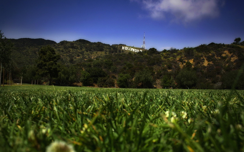 hd, sign, hollywood, nature, 1080P, green, grass