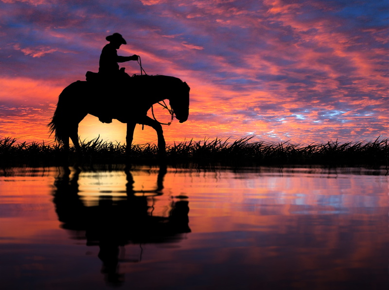 field, one animal, livestock, domestic, loneliness, sunset, pond, summer, light, ride, composition, man, grass, waters, animal themes, silhouette, cowboy