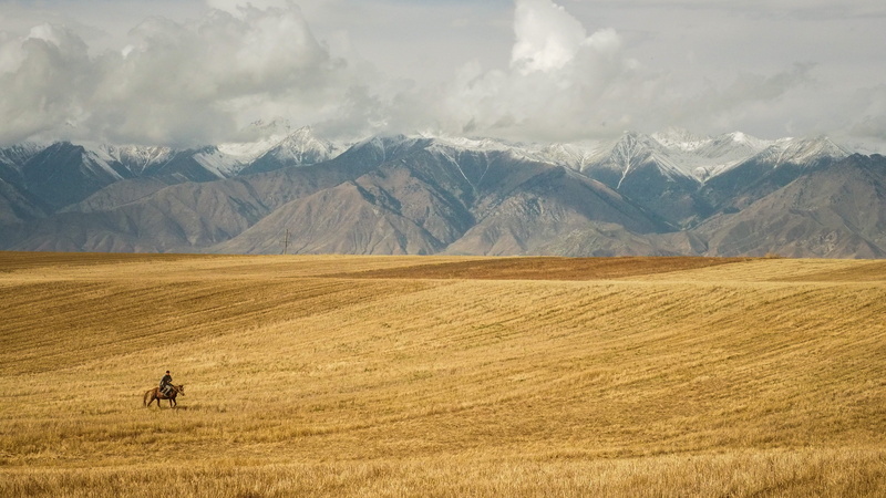 prarie, person, horse, people, mountain range, agriculture, golden, countryside, 4K, sky, open, scenics - nature, landscape, mammal, farmer, cowboy, wheat