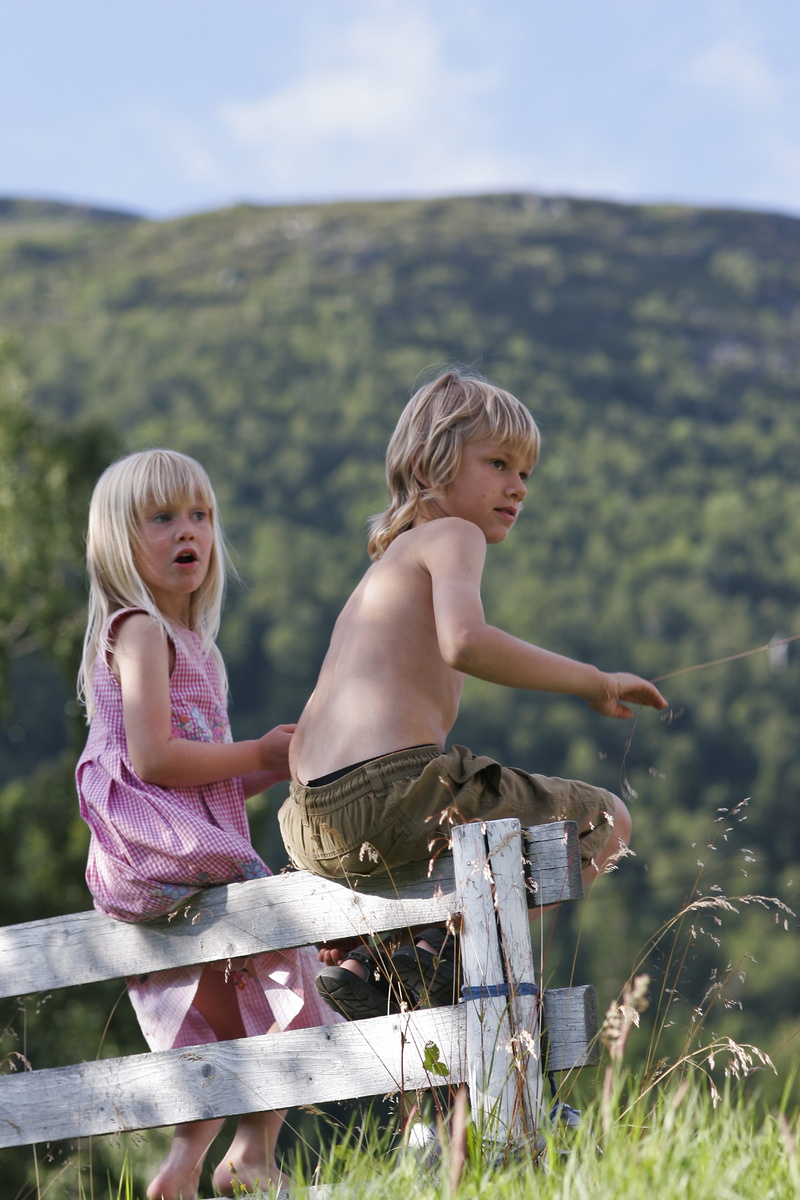 time Of Day, wooden, outdoors, fence, leisure activity, childhood, child, females, image Type, girls, sibling, wearing, nature, adult, boy, summer, human Age