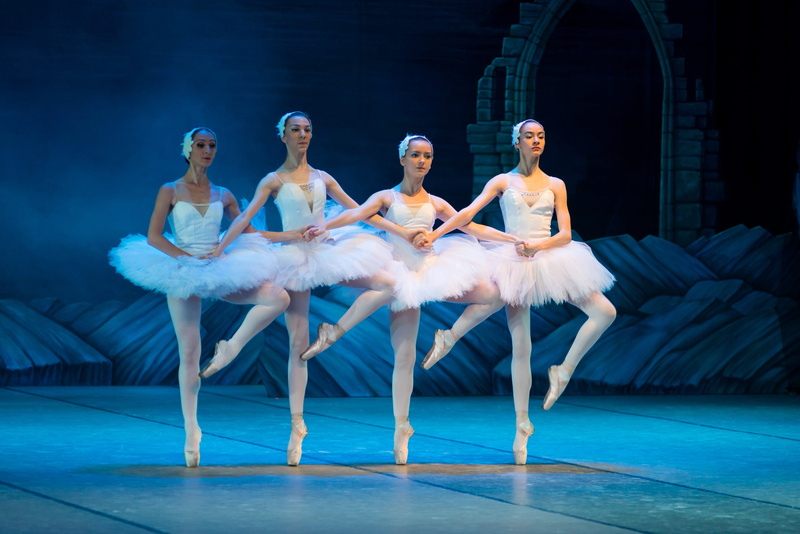 dance, lifestyles, swan, young women, several, ballet dancer, room, performance, dancing, 2K, skill, classic, exercising, elegance, princess, tutu, sitting