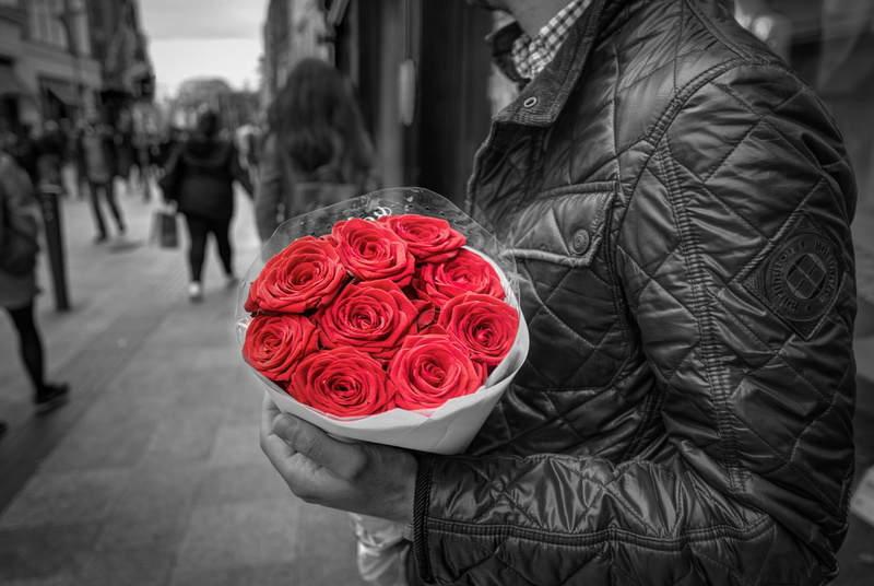 flower, rose - flower, relationship, outdoors, beauty in nature, one woman only, adults only, color, red roses, 5K, only women, one person, smiling, selective