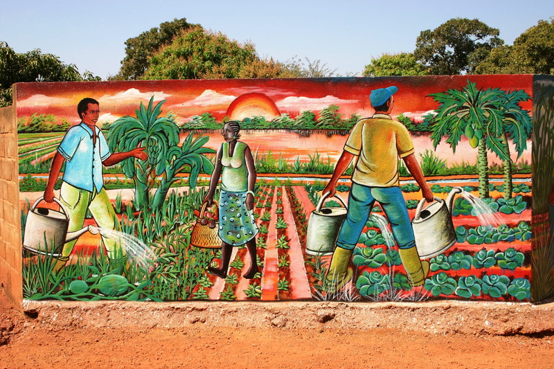 painting, two people, working, full length, outdoors, people, 2K, plant, Africa, person, real people, teamwork, togetherness, growth, agriculture, day