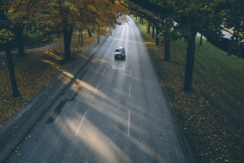 tree, mode of Transport, sign, road, the way forward, on the move, high angle view, mode of transportation, street, motion, transportation, land Vehicle
