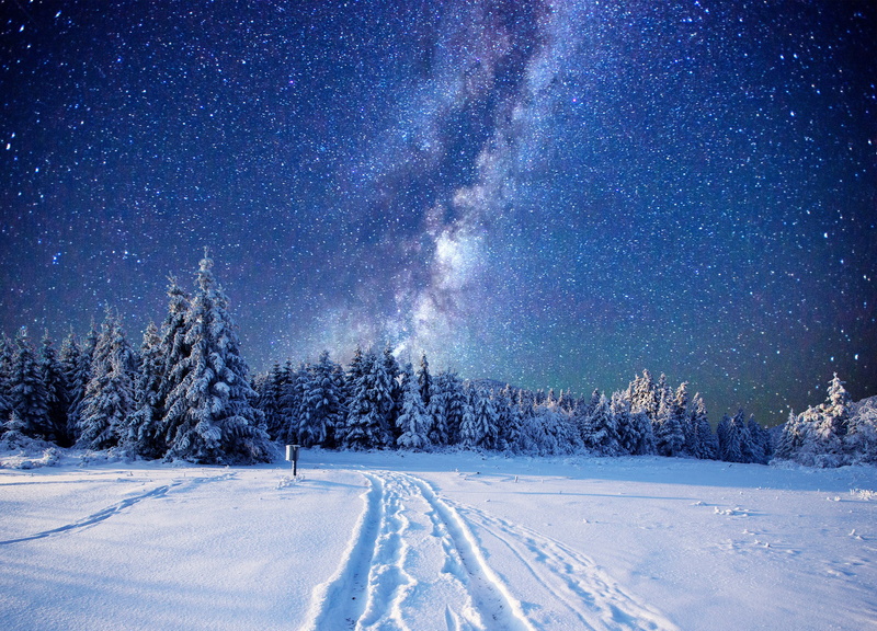 night, starry night, forest, nordic landscapes, 1080P, snow, winter, sky, landscape