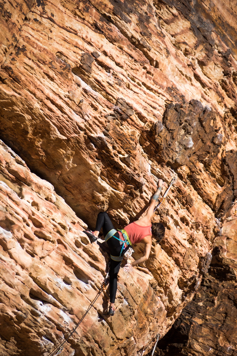 female, recreational pursuit, determination, solid, day, leisure activity, risk, mountain, activity, nature, climbing equipment, safety harness, one person