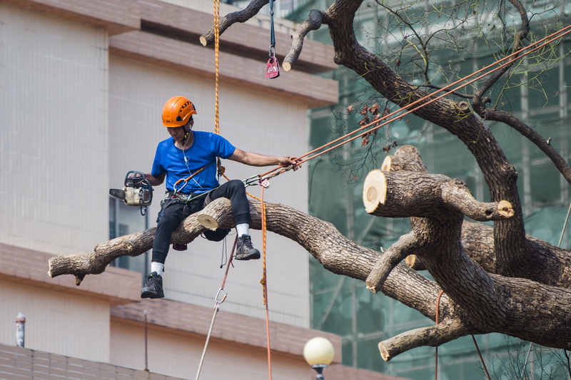 hand, right, men, wear, wood, focus on foreground, built structure, labor, architecture, one person, adult, work, siting, rope, worker, harness, safety
